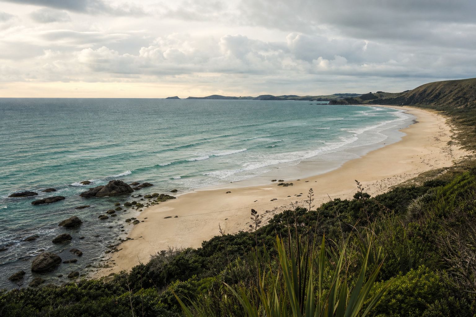 New Zealand beach coastline